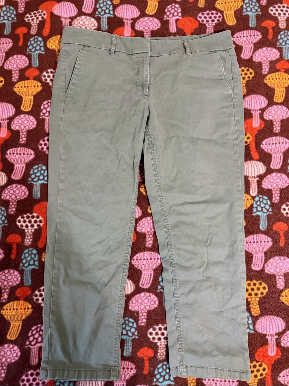 LOFT Olive Straight-Leg Women's Maria Pants